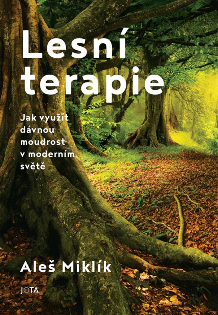 Lesní terapie | Aleš Miklík