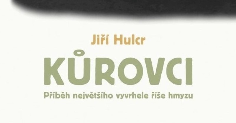 Kůrovci | Jiří Hulcr