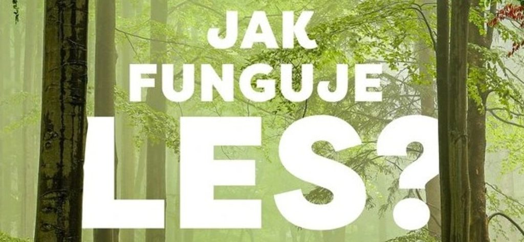 Jak funguje les? | Peter Wohlleben