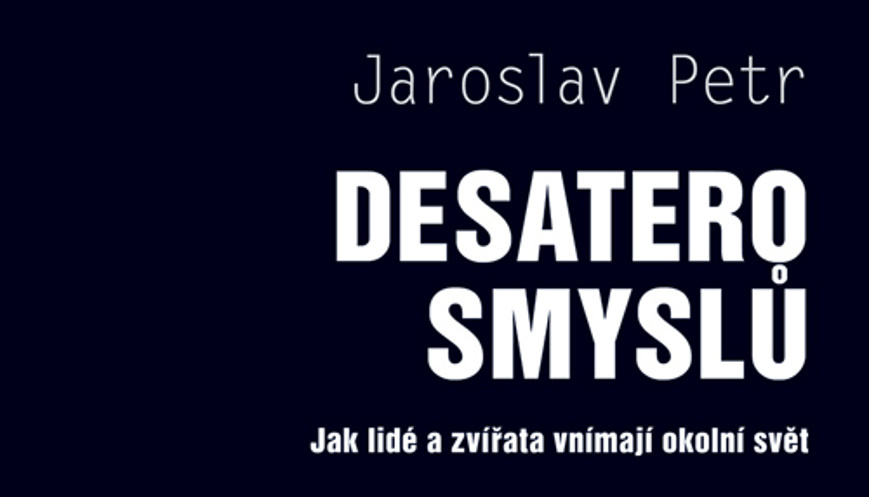 Desatero smyslů