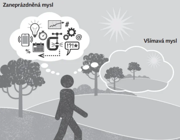 Skryté signály těla