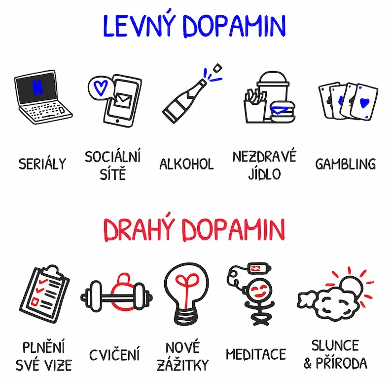 Od chaosu ke smyslu