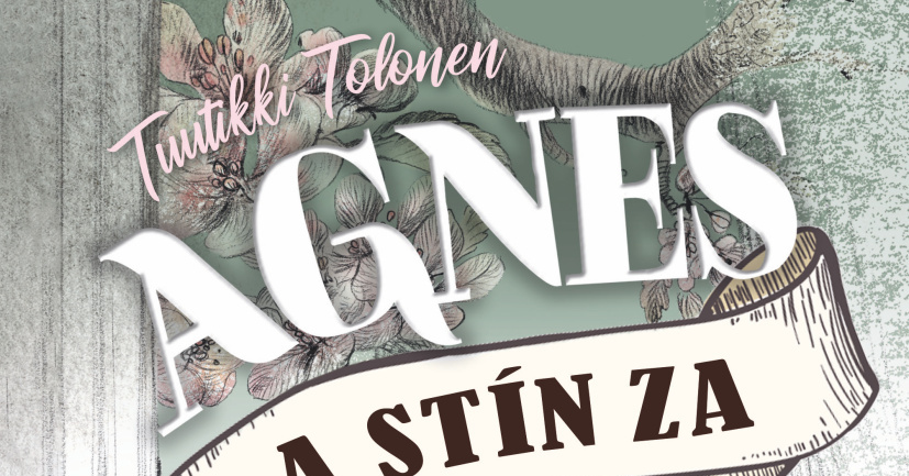 Agnes a stín za oknem