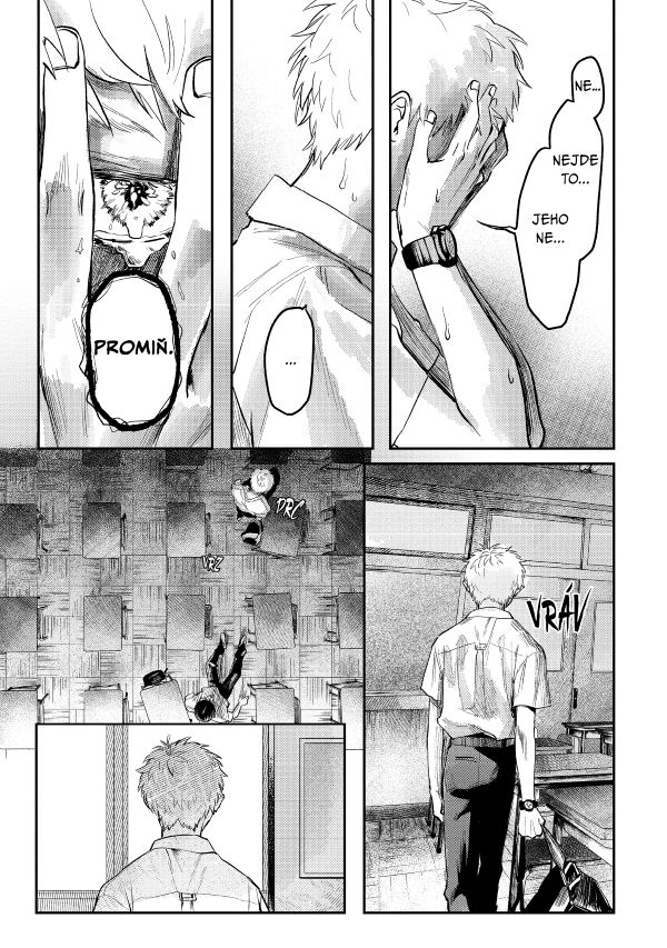 Léto, kdy umřel Hikaru 2