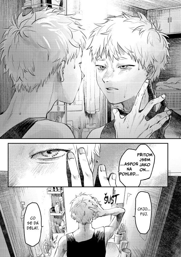 Léto, kdy umřel Hikaru 2