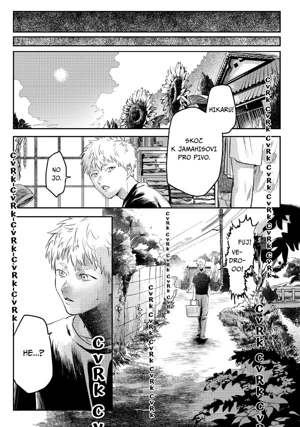Léto, kdy umřel Hikaru 2
