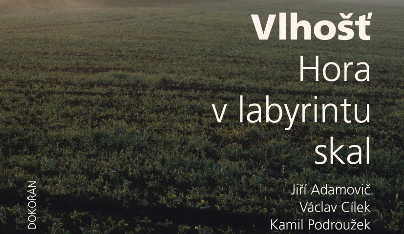 Vlhošť