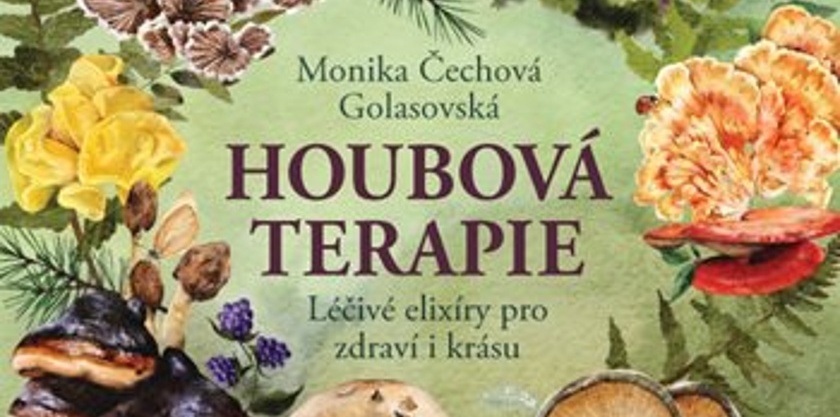 Houbová terapie