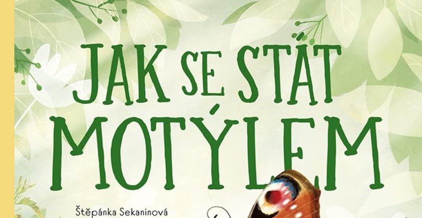 Jak se stát motýlem